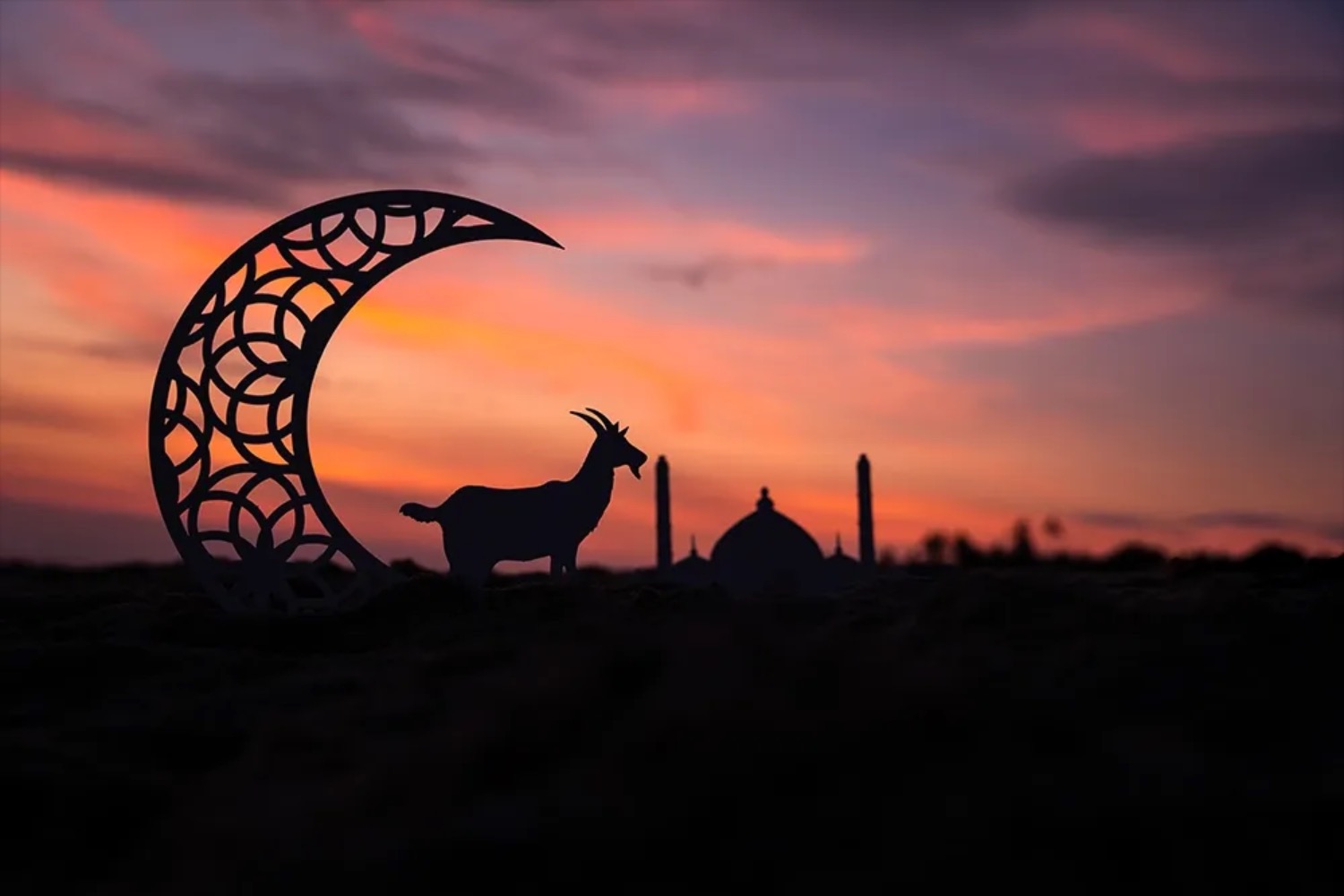 VAE erlassen Millionen an Schulden zum Eid al-Adha | Die Geissens Real Estate | Luxus Immobilien mit Carmen und Robert Geiss – Die Geissens in Dubai